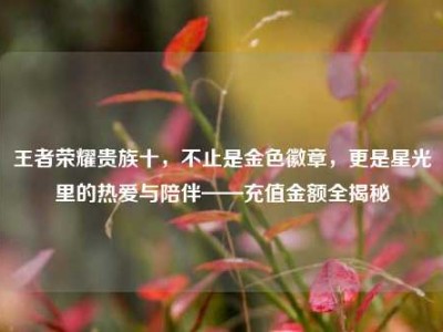 王者荣耀贵族十，不止是金色徽章，更是星光里的热爱与陪伴——充值金额全揭秘