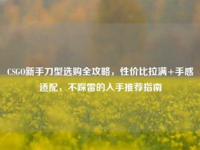 CSGO新手刀型选购全攻略，性价比拉满+手感适配，不踩雷的入手推荐指南