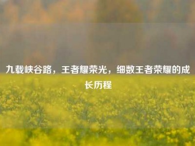 九载峡谷路，王者耀荣光，细数王者荣耀的成长历程