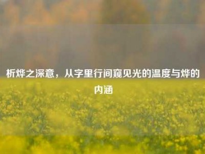 析烨之深意，从字里行间窥见光的温度与烨的内涵
