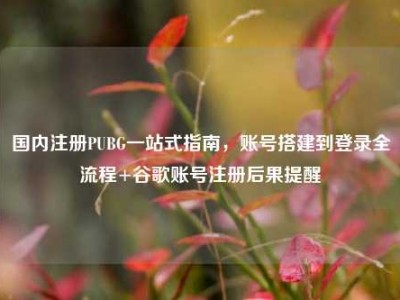 国内注册PUBG一站式指南，账号搭建到登录全流程+谷歌账号注册后果提醒