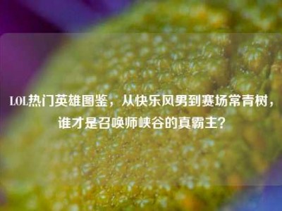 LOL热门英雄图鉴，从快乐风男到赛场常青树，谁才是召唤师峡谷的真霸主？