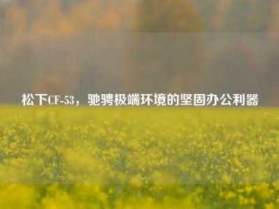 松下CF-53，驰骋极端环境的坚固办公利器