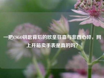 一把CSGO钥匙背后的欧皇狂喜与非酋心碎，网上开箱卖手表是真的吗？