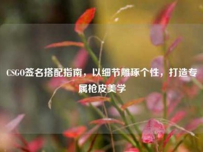CSGO签名搭配指南，以细节雕琢个性，打造专属枪皮美学
