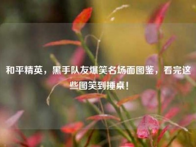 和平精英，黑手队友爆笑名场面图鉴，看完这些图笑到捶桌！