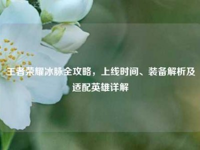 王者荣耀冰脉全攻略，上线时间、装备解析及适配英雄详解