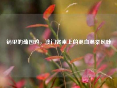 锅里的葡国鸡，澳门餐桌上的混血温柔风味