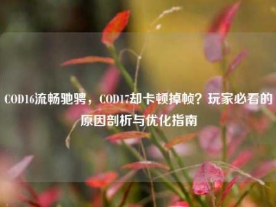 COD16流畅驰骋，COD17却卡顿掉帧？玩家必看的原因剖析与优化指南