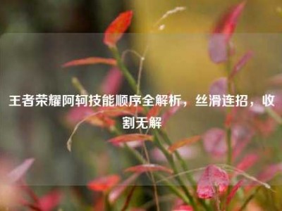 王者荣耀阿轲技能顺序全解析，丝滑连招，收割无解