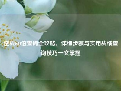 逆战KD值查询全攻略，详细步骤与实用战绩查询技巧一文掌握