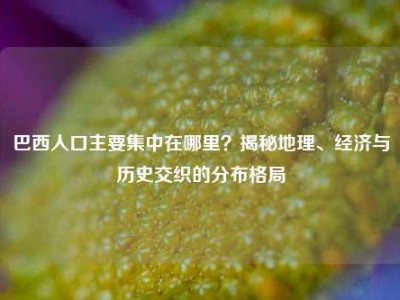 巴西人口主要集中在哪里？揭秘地理、经济与历史交织的分布格局