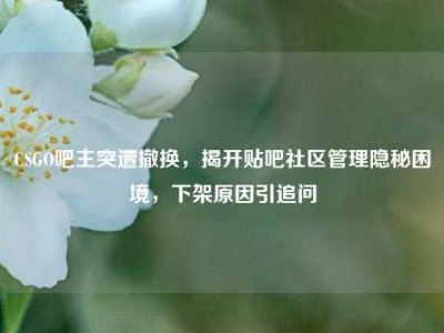 CSGO吧主突遭撤换，揭开贴吧社区管理隐秘困境，下架原因引追问