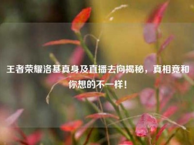王者荣耀洛基真身及直播去向揭秘，真相竟和你想的不一样！
