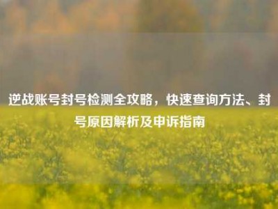 逆战账号封号检测全攻略，快速查询方法、封号原因解析及申诉指南