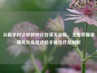 从新手村法师到峡谷智谋天花板，王者荣耀诸葛亮熟练度进阶手册及作用解析