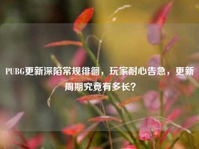 PUBG更新深陷常规徘徊，玩家耐心告急，更新周期究竟有多长？