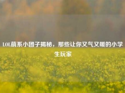 LOL萌系小团子揭秘，那些让你又气又暖的小学生玩家