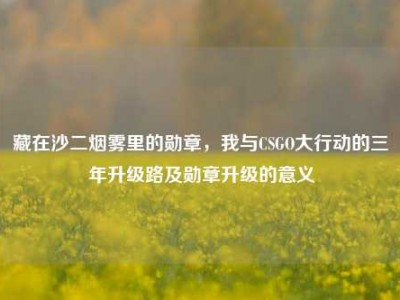 藏在沙二烟雾里的勋章，我与CSGO大行动的三年升级路及勋章升级的意义