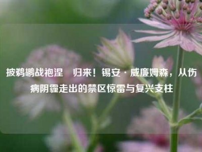 披鹈鹕战袍涅槃归来！锡安·威廉姆森，从伤病阴霾走出的禁区惊雷与复兴支柱