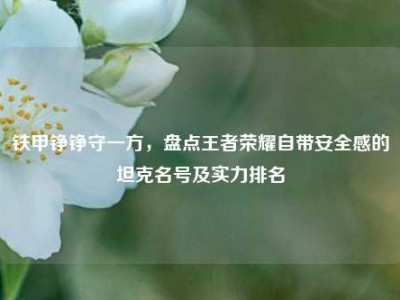 铁甲铮铮守一方，盘点王者荣耀自带安全感的坦克名号及实力排名