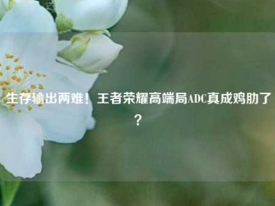 生存输出两难！王者荣耀高端局ADC真成鸡肋了？