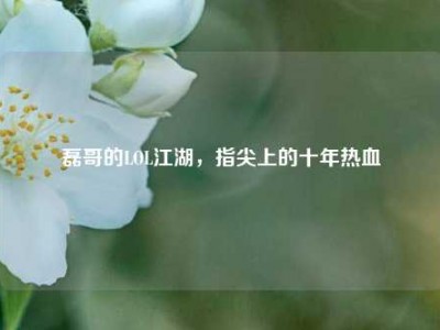 磊哥的LOL江湖，指尖上的十年热血