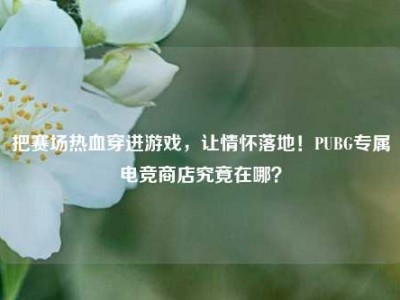 把赛场热血穿进游戏，让情怀落地！PUBG专属电竞商店究竟在哪？