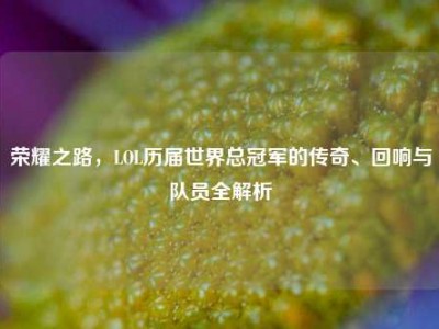 荣耀之路，LOL历届世界总冠军的传奇、回响与队员全解析