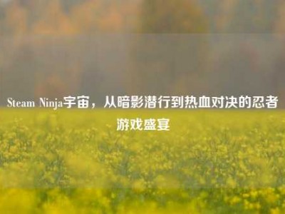 Steam Ninja宇宙，从暗影潜行到热血对决的忍者游戏盛宴