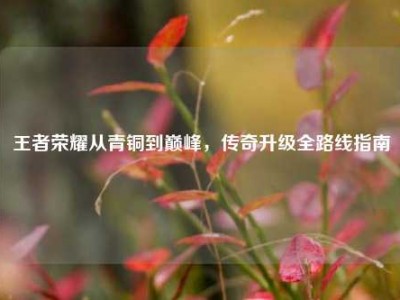 王者荣耀从青铜到巅峰，传奇升级全路线指南