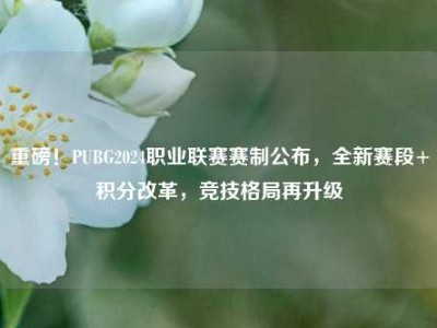 重磅！PUBG2024职业联赛赛制公布，全新赛段+积分改革，竞技格局再升级