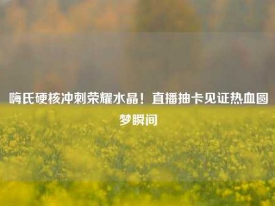 嗨氏硬核冲刺荣耀水晶！直播抽卡见证热血圆梦瞬间