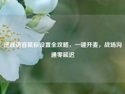 逆战语音鼠标设置全攻略，一键开麦，战场沟通零延迟
