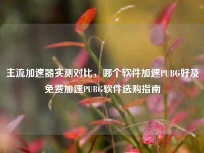 主流加速器实测对比，哪个软件加速PUBG好及免费加速PUBG软件选购指南