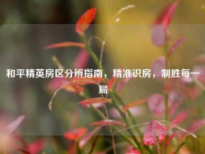 和平精英房区分辨指南，精准识房，制胜每一局