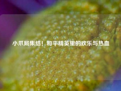 小爪局集结！和平精英里的欢乐与热血