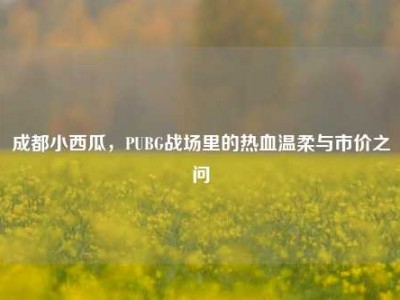 成都小西瓜，PUBG战场里的热血温柔与市价之问