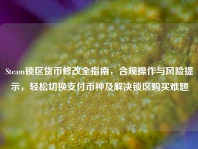 Steam锁区货币修改全指南，合规操作与风险提示，轻松切换支付币种及解决锁区购买难题
