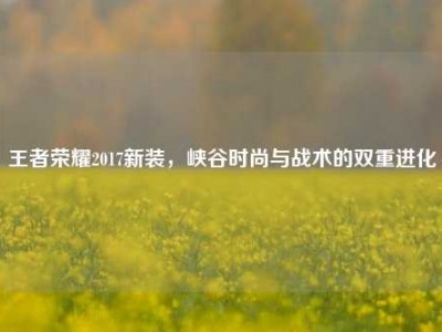 王者荣耀2017新装，峡谷时尚与战术的双重进化