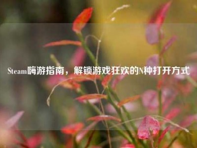 Steam嗨游指南，解锁游戏狂欢的N种打开方式