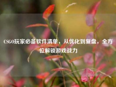 CSGO玩家必备软件清单，从优化到复盘，全方位解锁游戏战力