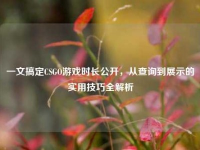 一文搞定CSGO游戏时长公开，从查询到展示的实用技巧全解析