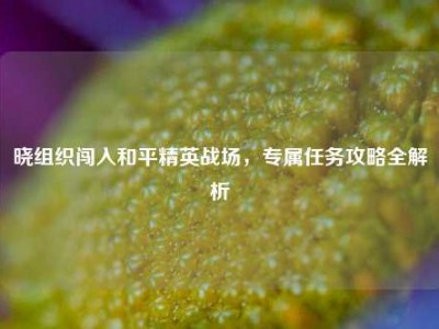 晓组织闯入和平精英战场，专属任务攻略全解析