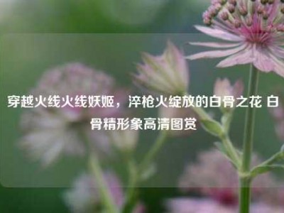 穿越火线火线妖姬，淬枪火绽放的白骨之花 白骨精形象高清图赏