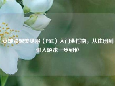 英雄联盟美测服（PBE）入门全指南，从注册到进入游戏一步到位