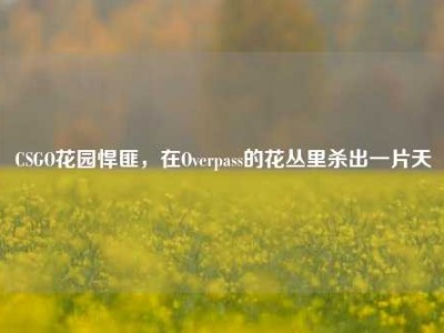 CSGO花园悍匪，在Overpass的花丛里杀出一片天