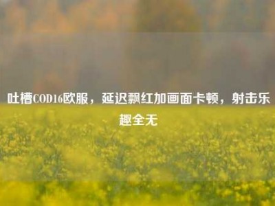 吐槽COD16欧服，延迟飘红加画面卡顿，射击乐趣全无
