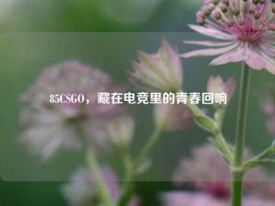 85CSGO，藏在电竞里的青春回响