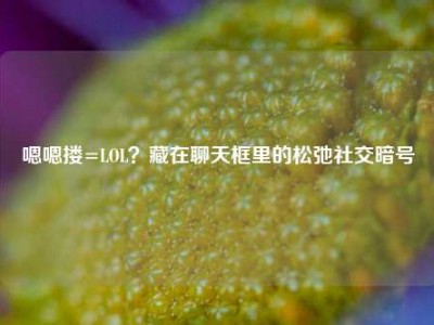 嗯嗯搂=LOL？藏在聊天框里的松弛社交暗号